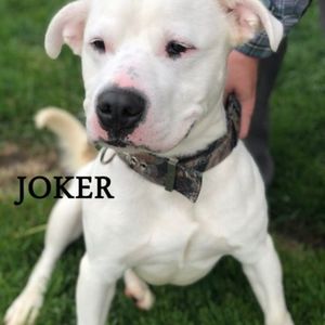 Meet your Posher, Shawna